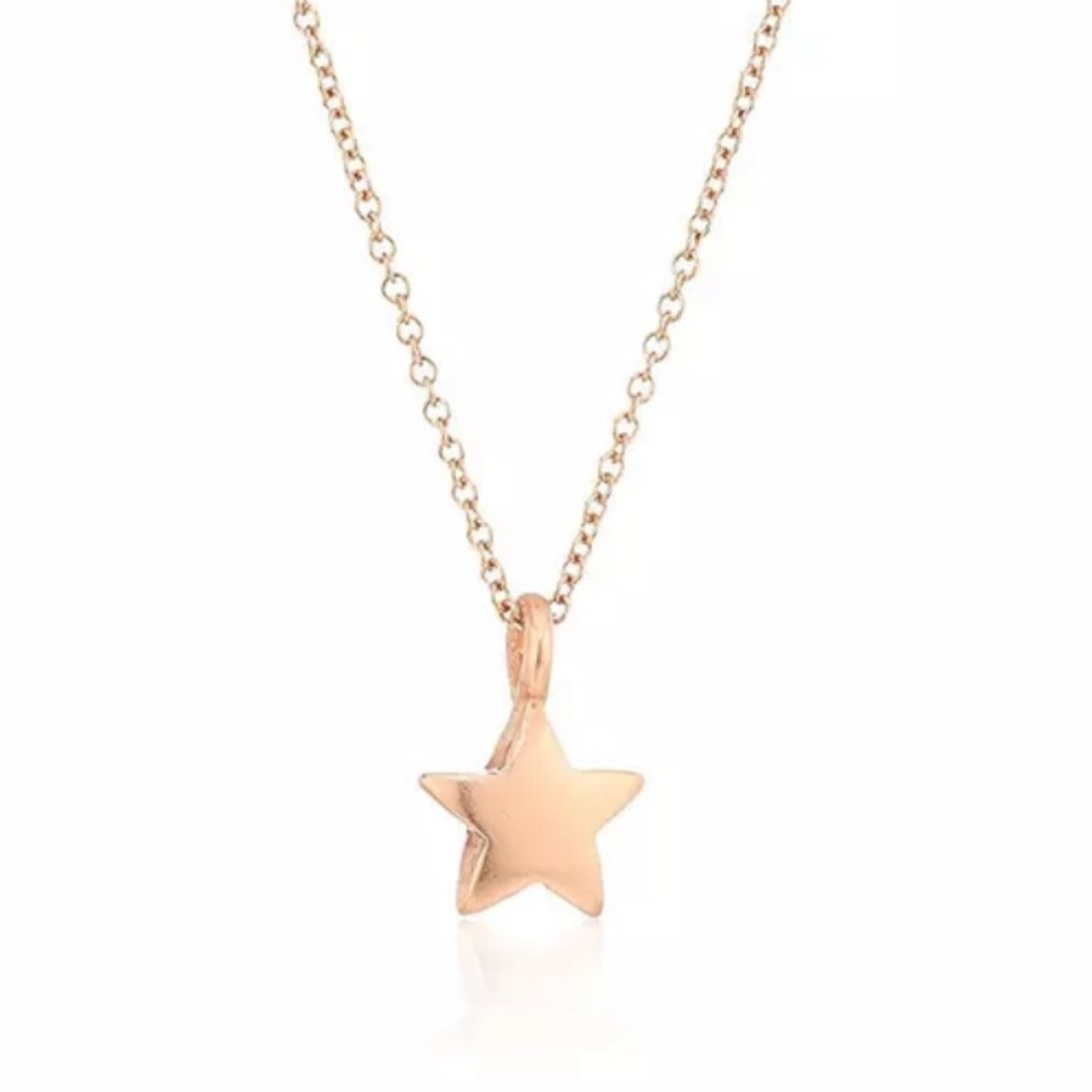 ⭐️ 3 / $20 ⭐️ ❗️ Rising Star necklace ⭐️